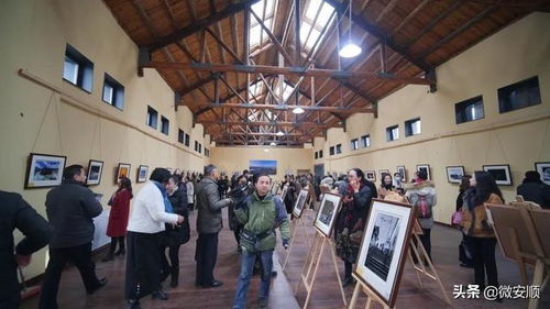 安顺古城焕新颜，粮仓变身艺术殿堂 三台湾粮仓艺术中心首展启幕