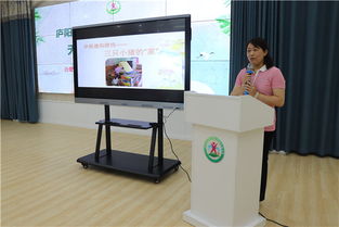 千里莺啼绿映红 风华正茂展教学——记庐阳区2019年暑期园本培训‘无生上课’展示活动